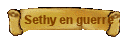 Sethy en guerre
