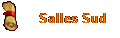 Salles Sud