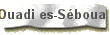 Ouadi es-S�boua